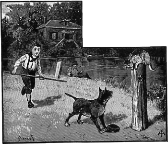 a boy and a dog and a cat