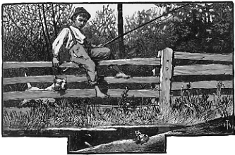 a boy a dog and a frog