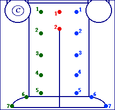 the area below the torso defined
