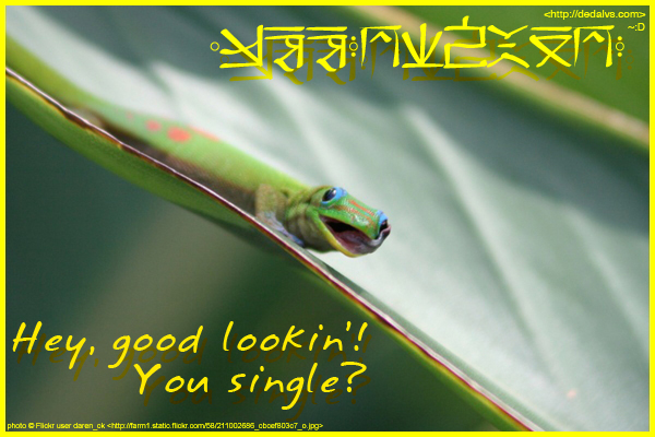 Postcard of a gecko licking his eye.